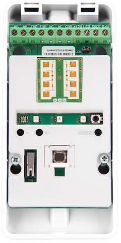 OPAL20PLUS1.jpg 752cd8621bfe9646b2a70a2850105524